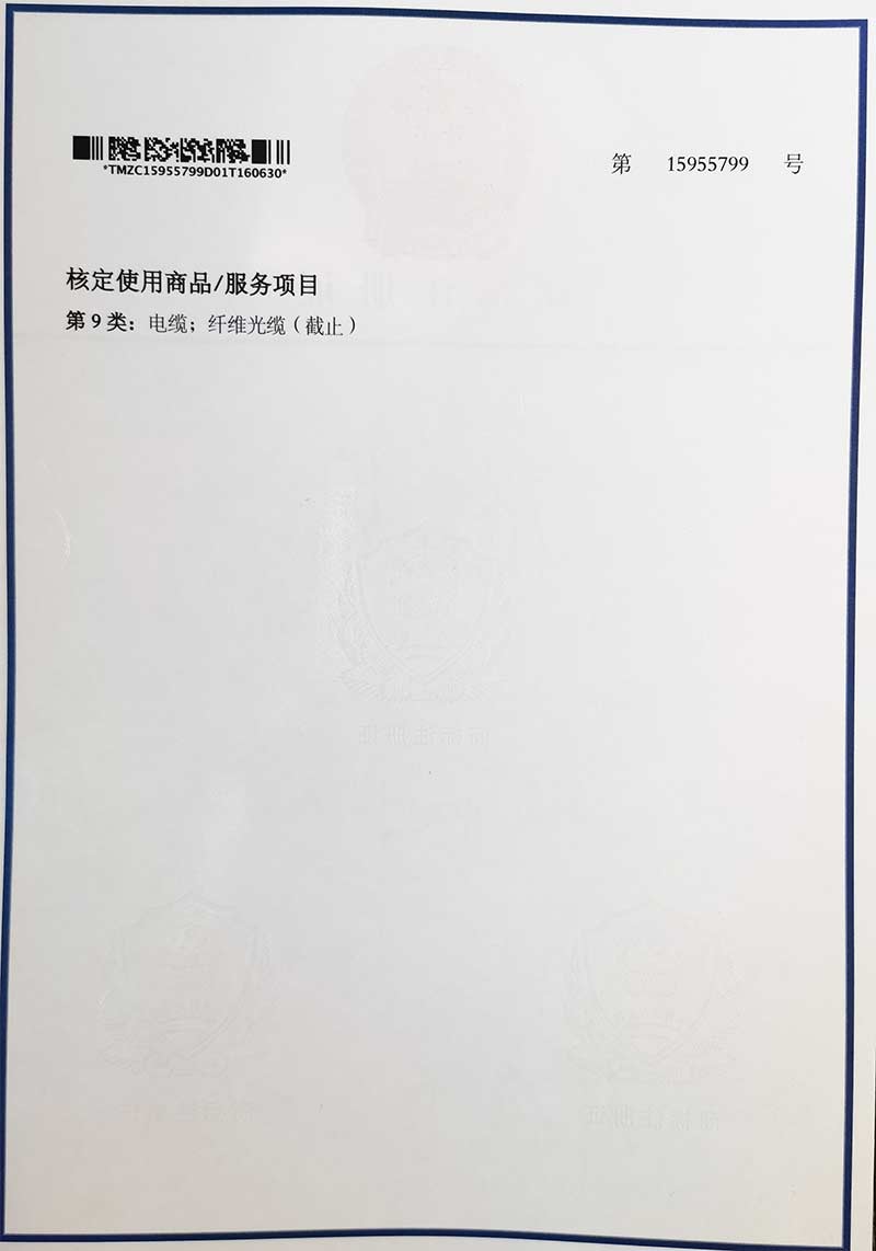 天游TY8线路检测中心商标 -  - 2
